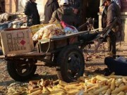 Tin tức - Nỗi đau gia đình người cha 62 tuổi bị con hại chết