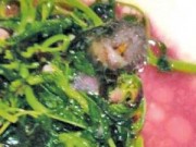 Tin tức - TQ: Tá hỏa phát hiện chuột chết trong đĩa rau xào