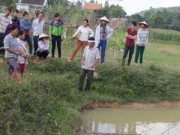 Tin tức - Mẹ đi mua sữa, 2 con sinh đôi đuối nước thương tâm