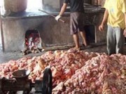 Mua sắm - Giá cả - Yêu cầu xác minh thông tin "mỡ bẩn, bì lợn thối" tại Hưng Yên
