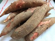Tin tức - Trẻ nhỏ nguy kịch vì ngộ độc sắn
