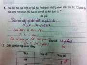 Tin tức - Tranh cãi đáp án bài toán 'cưa khúc gỗ' bị gạch sai
