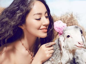 6 công dụng làm đẹp hiệu quả của dầu oliu
