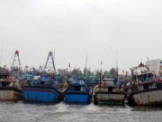 Tin tức - Cứu 8 ngư dân bị nạn trong bão Hagupit