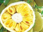 Sức khỏe - Mít ngăn ngừa thiếu máu và chống ung thư