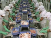 Tin tức - Nông sản, dệt may của Việt Nam sẽ được ưu đãi