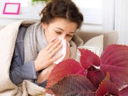 Nhà đẹp - Cảm cúm ngày đông, ra vườn vặt rau "ăn là khỏi"