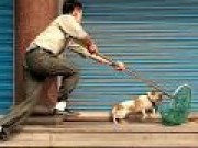 Tin tức - Trộm chó, 2 người bị đánh chết tại chỗ