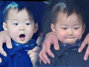 Làng sao - Cặp sinh ba nhà "Ju-mông" náo loạn lễ trao giải