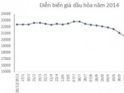 Mua sắm - Giá cả - Năm 2014: Giá xăng dầu điều chỉnh kỷ lục 24 lần