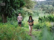 Xem & Đọc - Tôi Thấy Hoa Vàng Trên Cỏ Xanh - Một "hiện tượng" trong lịch sử điện ảnh Việt