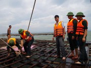 Tin tức - Quảng Ninh: Vá đê bị nước khoét sâu chạy đua bão số 4