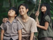 Xem & Đọc - Lo ngại chuyện bản quyền Tôi thấy hoa vàng trên cỏ xanh