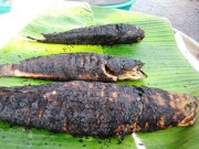 Tin tức - Hai trẻ tử vong sau khi ăn cá lóc nướng