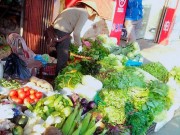 Tin tức - Nhiều mẫu rau xanh ở chợ tồn dư thuốc bảo vệ thực vật