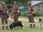 Ngày mới - Malaysia: Tìm thấy 2 trẻ em sống sót sau 47 ngày mất tích trong rừng rậm