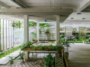 Nhà đẹp - HN: Biệt thự xanh từ ngoài vào trong khiến báo Tây mê đắm
