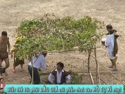 Làm mẹ - “Bố ơi! Mình đi đâu thế” bị phản đối vì xúc phạm trẻ tự kỷ?