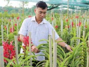 Nhà đẹp - Biến bãi hoang ven sông thành vườn lan tiền tỷ