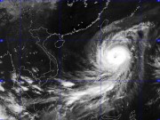 Tin tức - Bão Koppu giật trên cấp 17 tiến vào biển Đông