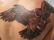 Tin tức - Cuộc chiến "đại bàng" giữa những ông trùm xã hội đen