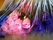 Tin tức - Coi chừng nhiễm độc vì được tặng hoa hồng vĩnh cửu