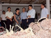 Tin tức - Người dân trồng hành tím bị mù mắt là có thật