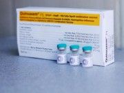 Tin tức - Tỷ lệ phản ứng nặng của vắc xin Quinvaxem rất nhỏ