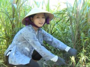 Tin tức giải trí - Khánh Hiền về quê chăn bò