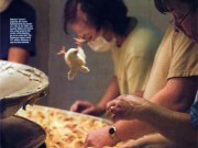 Tin tức - Nghề kỳ lạ, nhàn hạ mà “hái ra tiền” đã đến Việt Nam