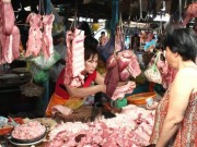 Tin tức - Cảnh báo chất tạo nạc gây ung thư mua dễ... như rau?