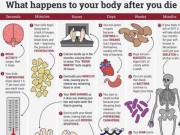 Eva tám - Chuyện gì xảy ra với cơ thể sau khi chết?