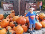 Nhà đẹp - Người Việt trong Hội thi bí ngô dịp Halloween tại Mỹ