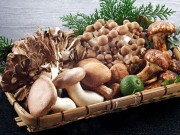 Sức khỏe - Những loại nấm bạn nên ăn vì cực tốt cho sức khỏe