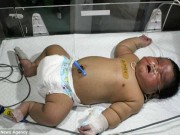 Tin tức - Ấn Độ: Bé sơ sinh nặng 7kg chào đời bằng phương pháp đẻ thường