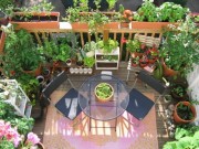 Nhà đẹp - Trồng cây hợp mệnh cho gia chủ vạn sự cát tường