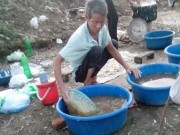 Tin tức - Người dân còn nể nang khi tố giác vi phạm an toàn thực phẩm