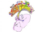 Bà bầu - Nhau thai – 4 điều hầu hết các mẹ bầu chưa biết