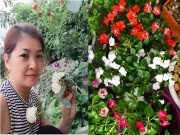 Nhà đẹp - Mê tít khu vườn trên cao của cô giáo làng