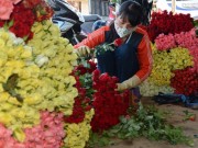 Mua sắm - Giá cả - Hoa Đà Lạt tăng giá 3 lần dịp lễ 20.11