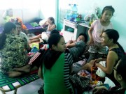 Tin tức - Sốt xuất huyết tăng cao bất thường ở Khánh Hòa