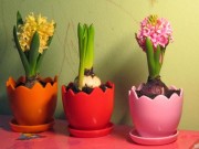 Nhà đẹp - Đo độ may mắn của 12 con giáp trong năm 2015