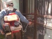 Tin tức - 'Vạch trần' nguyên nhân khiến bệnh sốt xuất huyết gia tăng