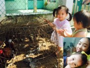 Làng sao - Con gái Đoan Trang thích thú khi được về quê