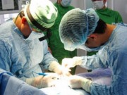 Tin tức - Đà Nẵng: Phẫu thuật tái tạo bộ phận sinh dục cho 7 bệnh nhi