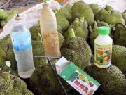 Tin tức - Người sản xuất thực phẩm bẩn sẽ bị nhiễm độc đầu tiên