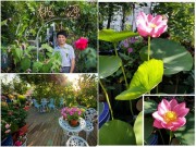 Nhà đẹp - Mãn nhãn 5 tầng nhà ngập cây hoa của thầy giáo già