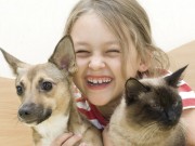 Nhà đẹp - Tại sao "Mèo đến nhà thì khó, chó đến nhà thì sang"?