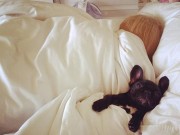 Eva tám - Ngủ với thú cưng giúp bạn khỏe mạnh hơn
