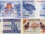 Tin tức - Nhà Phật quan niệm thế nào về tiền lì xì Tết?